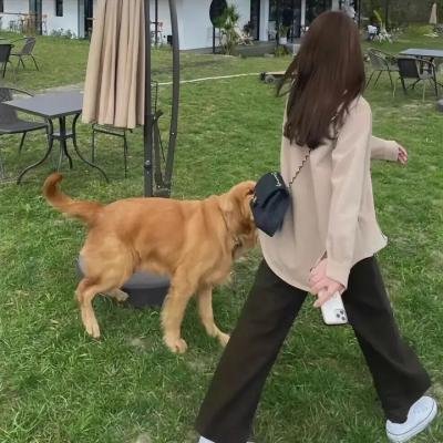 追男仔 在线观看